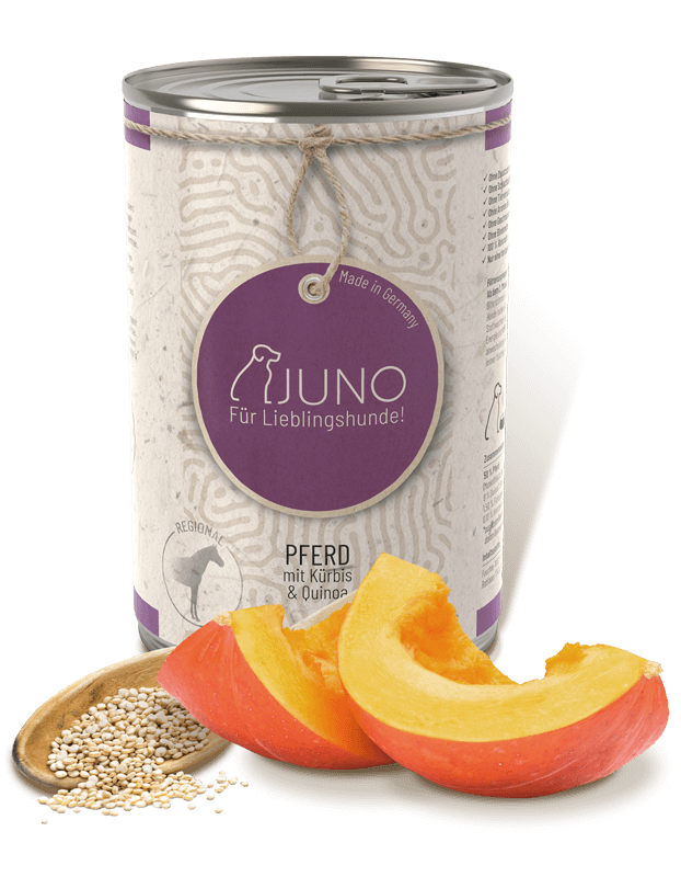 Juno -PFERD mit Bio Kürbis & Bio Quinoa 800g Juno -PFERD mit Bio Kürbis & Bio Quinoa 800g