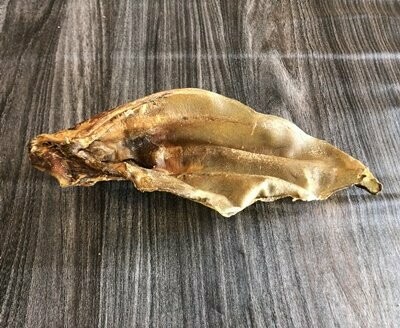 Rinder Ohren mit Muschel 20