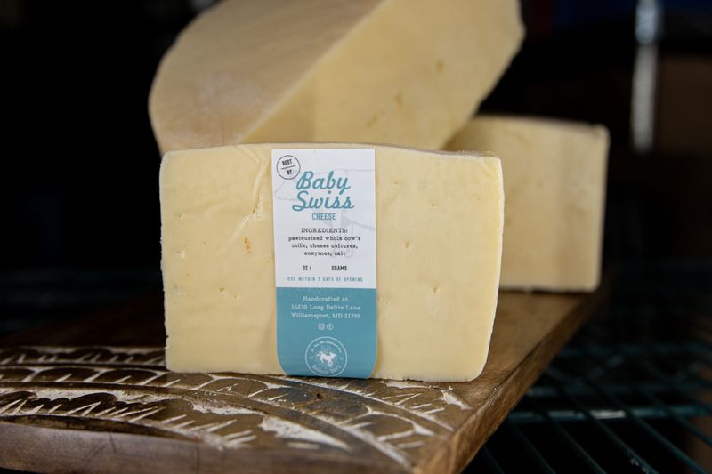 Swiss Cheese