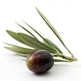Olives