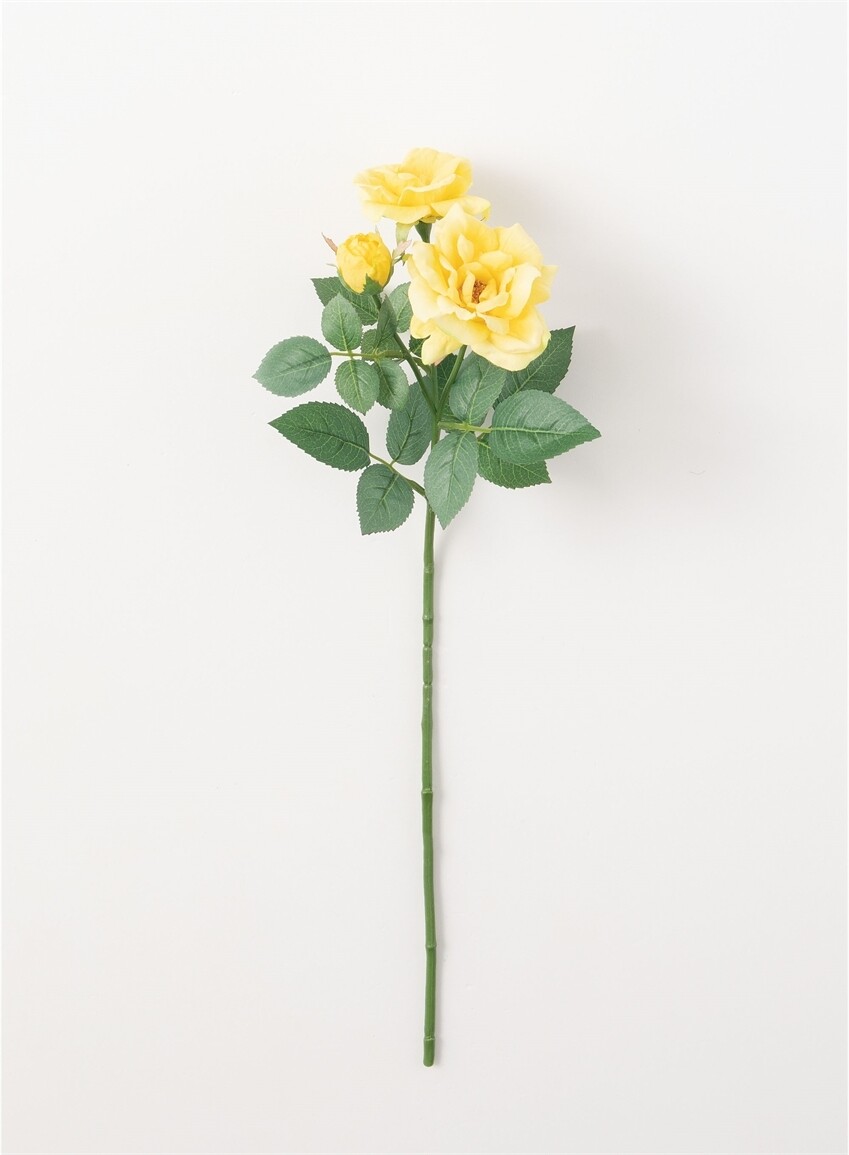 Wild Rose Yellow - LSUL