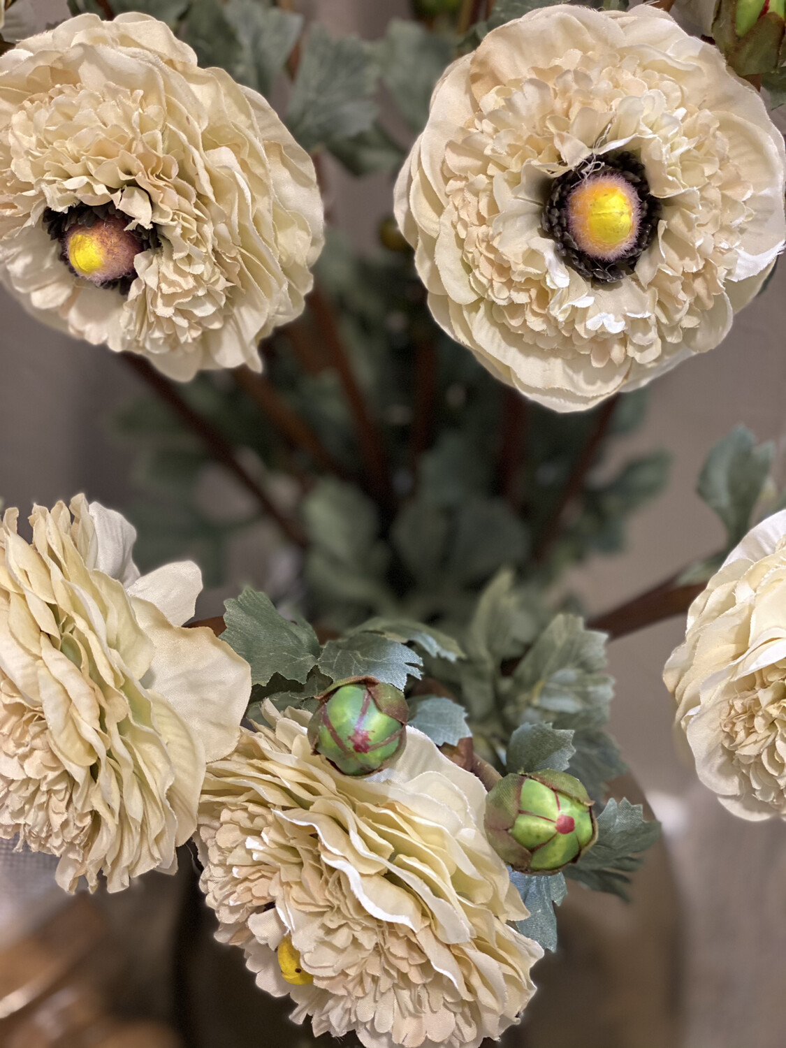Cream Ranunculus - K&K