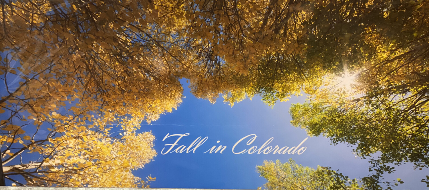 Fall In Colorado 10x15 #4016-HEM