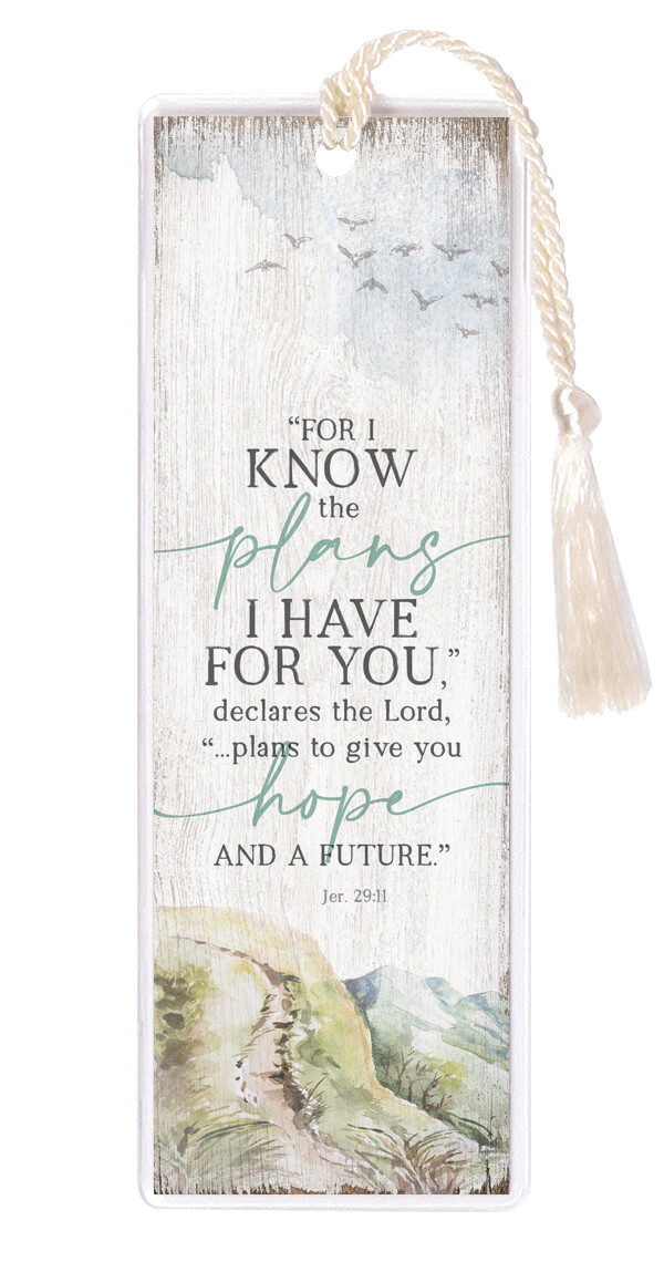 Bookmark-For I know the Plans - 3013 - HEM