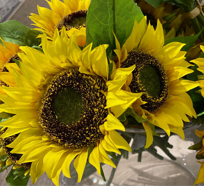 Sunflower Bunch/6 - SUL