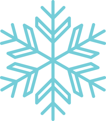 Snowflake 13