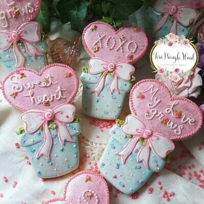Teri Heart Plant 01