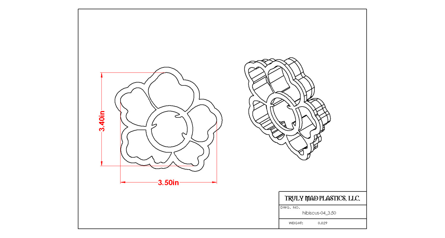 Hibiscus 04
