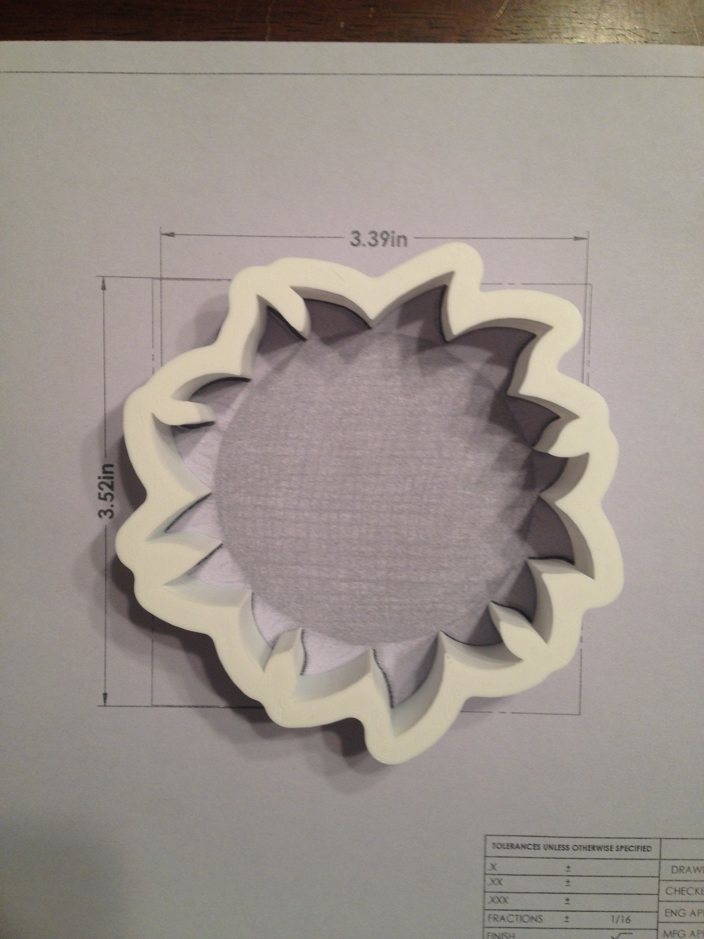 Sunflower 01