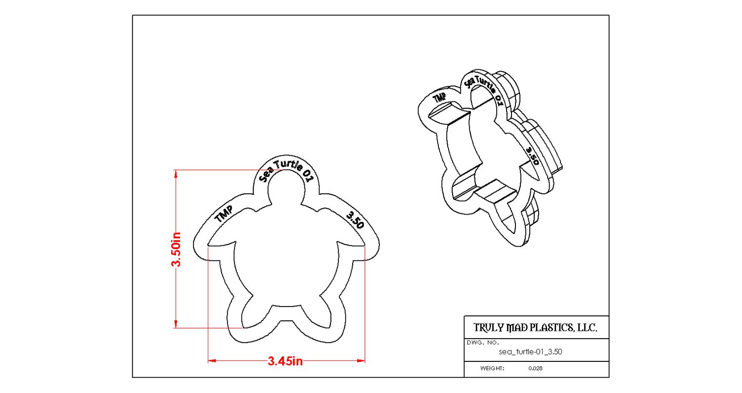 Sea Turtle 01