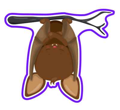 Bat 07
