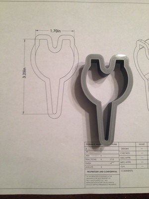 CT Bib 02