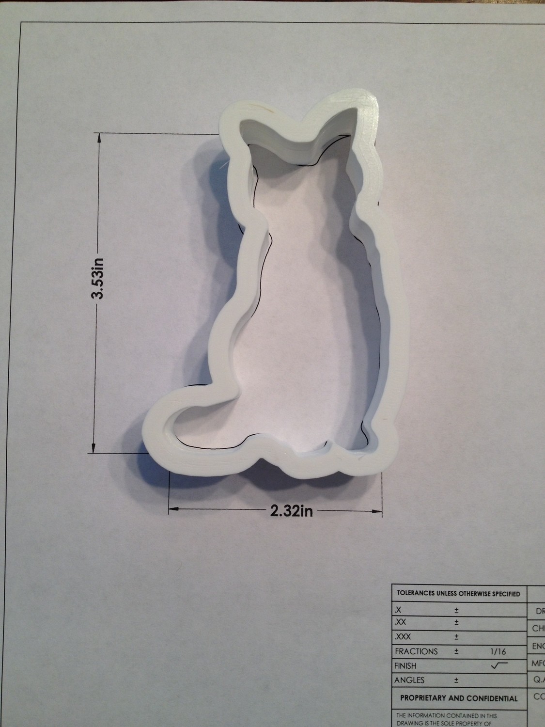 Cat 01