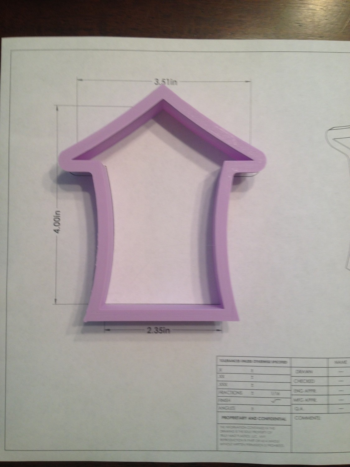 Whimsy House/Bird House (fair cabin)