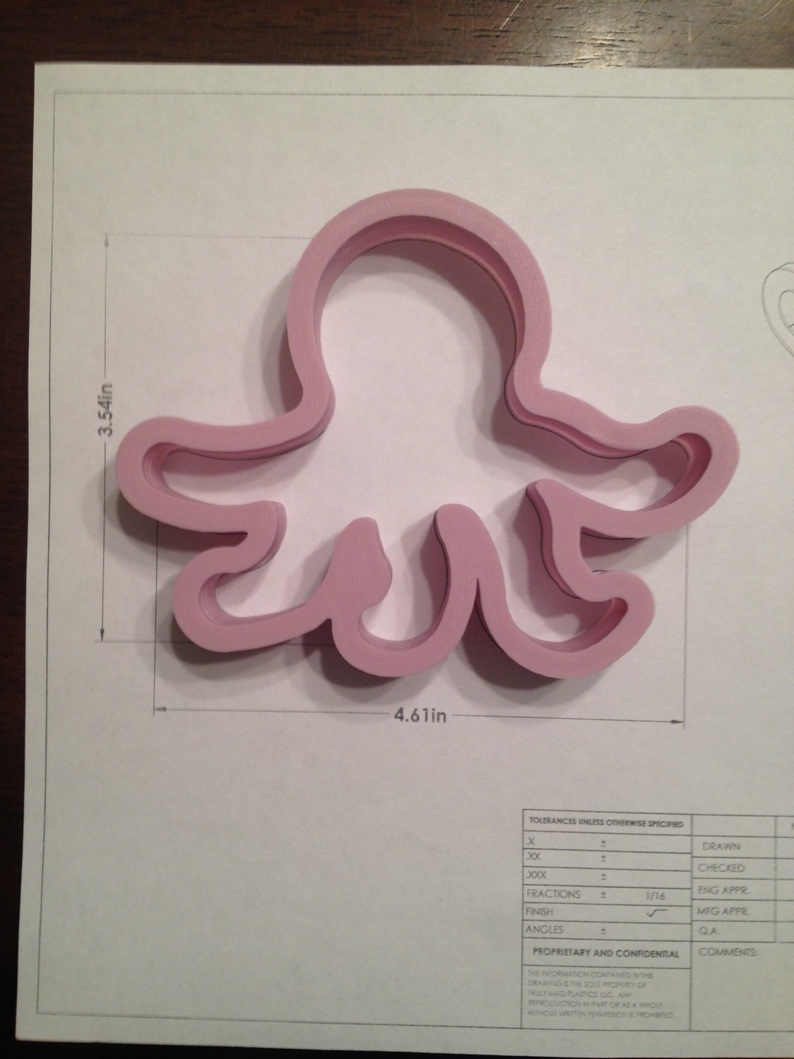 Octopus 02