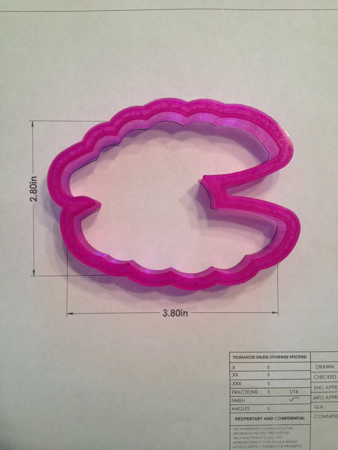 Clam 03