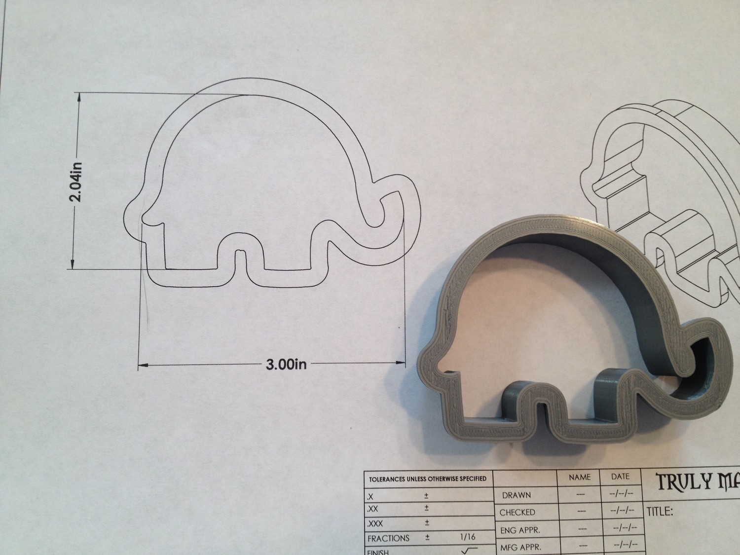 elephant 07