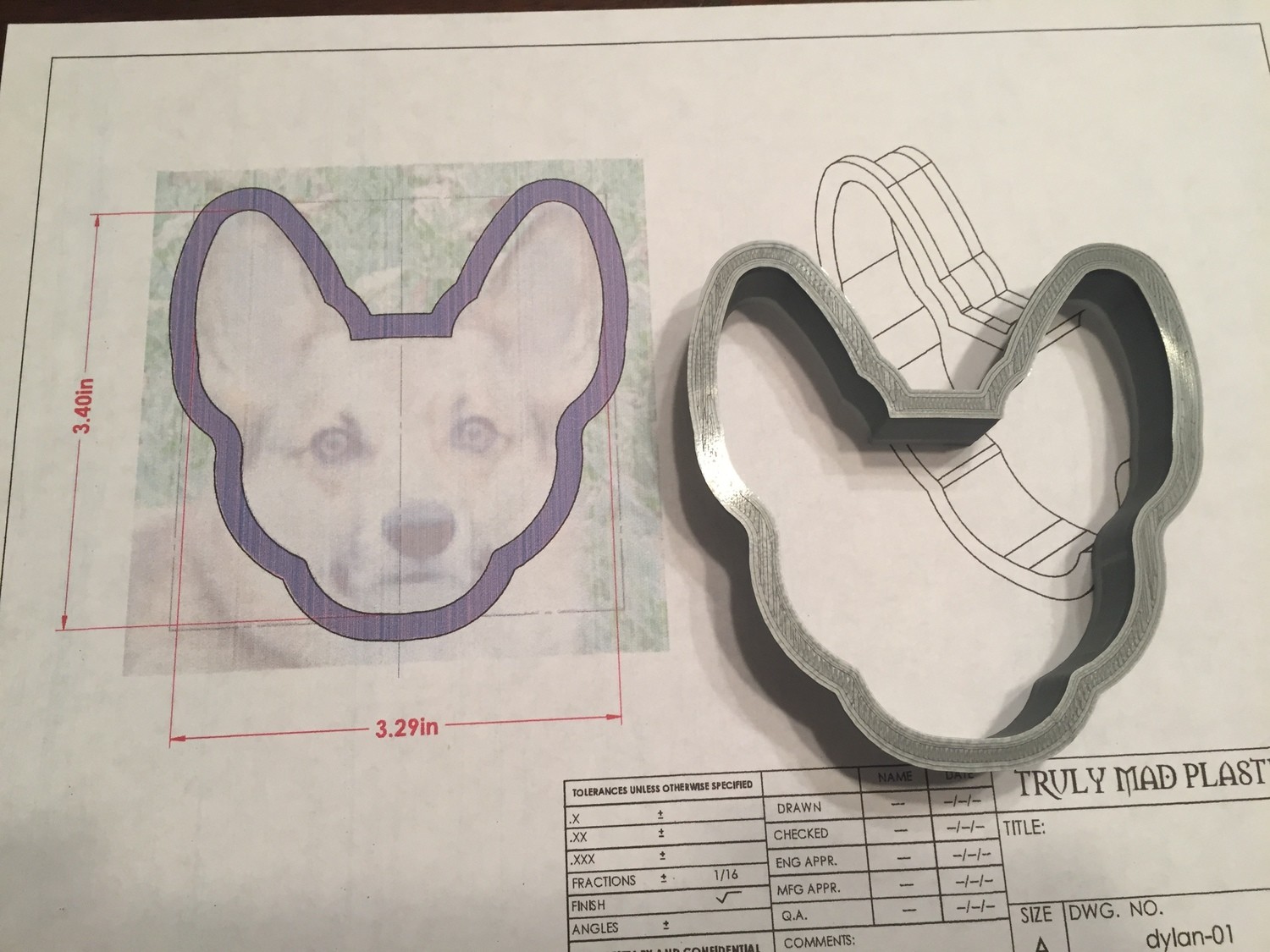 Dylan 01 the Corgi
