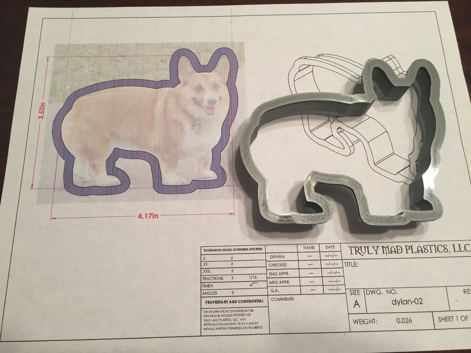 Dylan 02 The Corgi