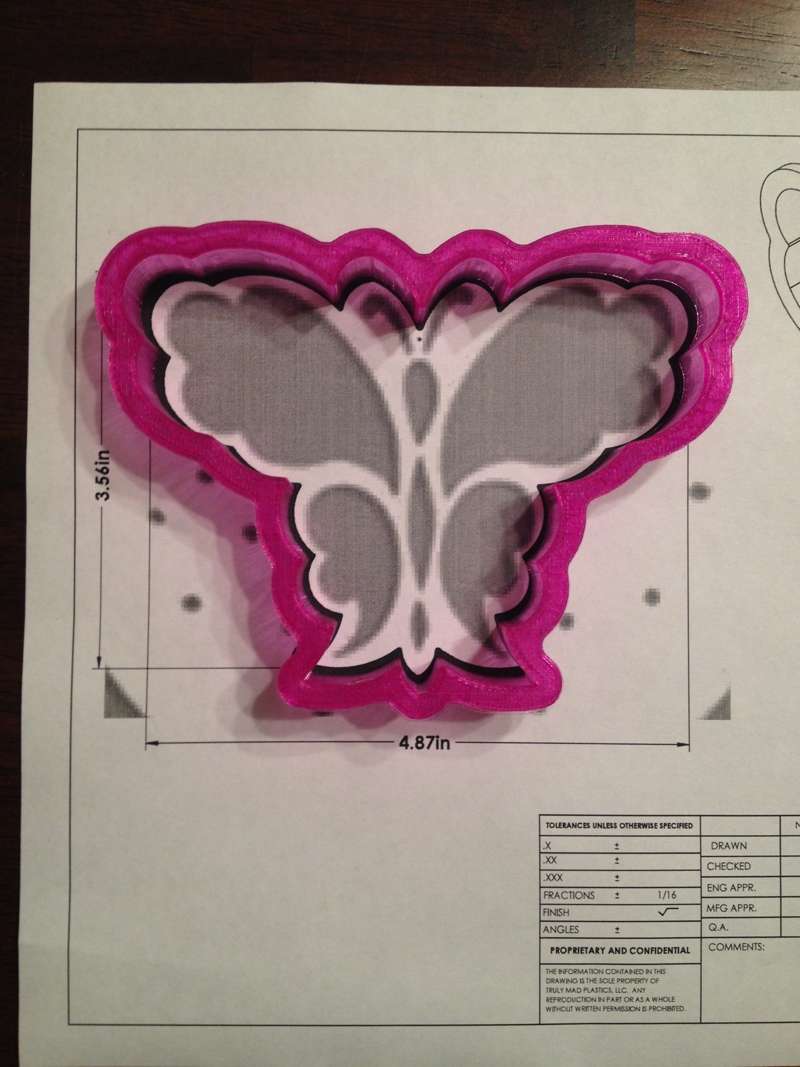 Butterfly 02