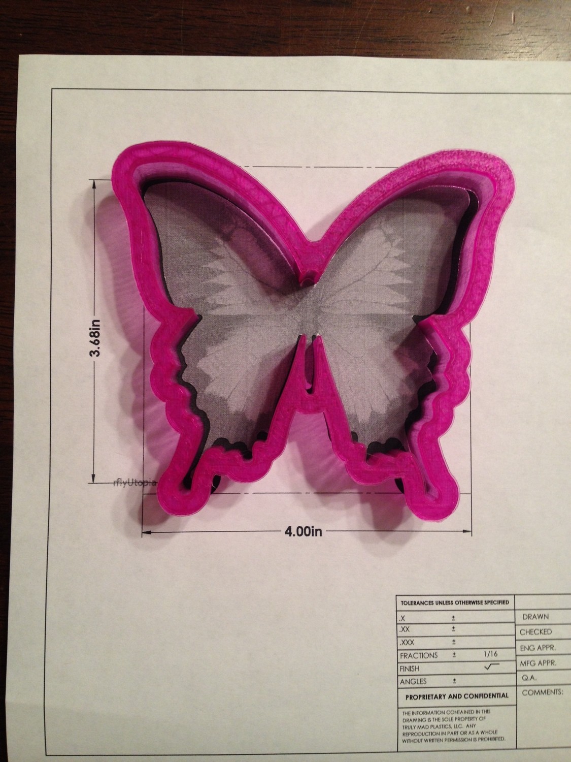 Butterfly 01