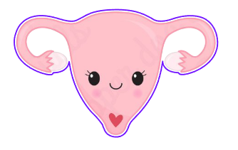 Uterus 01
