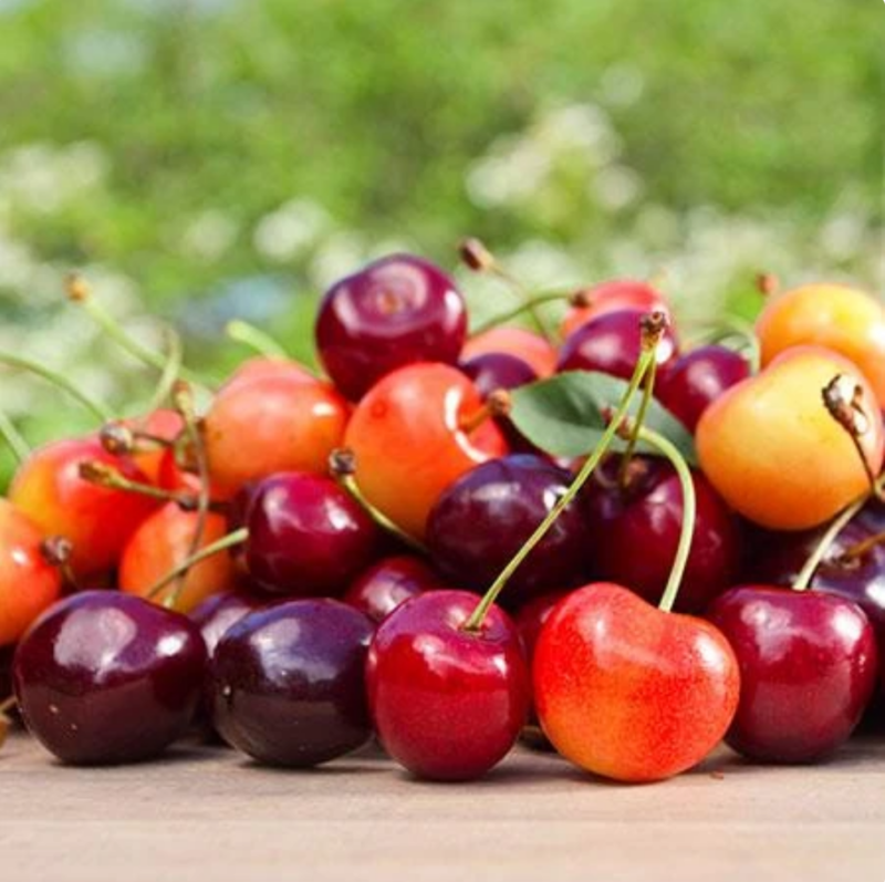 DWN 4n1 Cherry Rainier-Bing-Lapin-Van on Mazzard $105.99