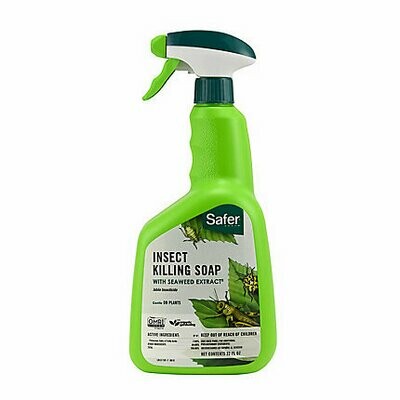 Safer Insect Soap RTU 32oz