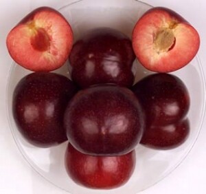 DWN 4n1 Pluot FL.K-FL.Q-FL.S-DD on Citation $112.99