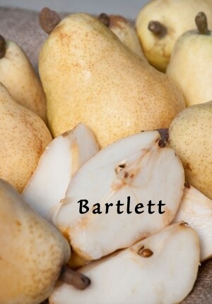 DWN Pear Bartlett 1/2" on OHxF333 $52.99