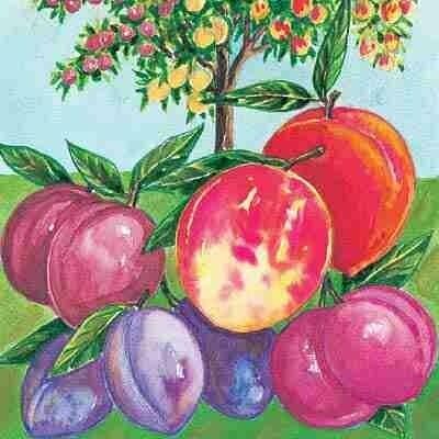 DWN 4n1 Fruit Salad JE-F-B-SR-B on Nemaguard $112.99