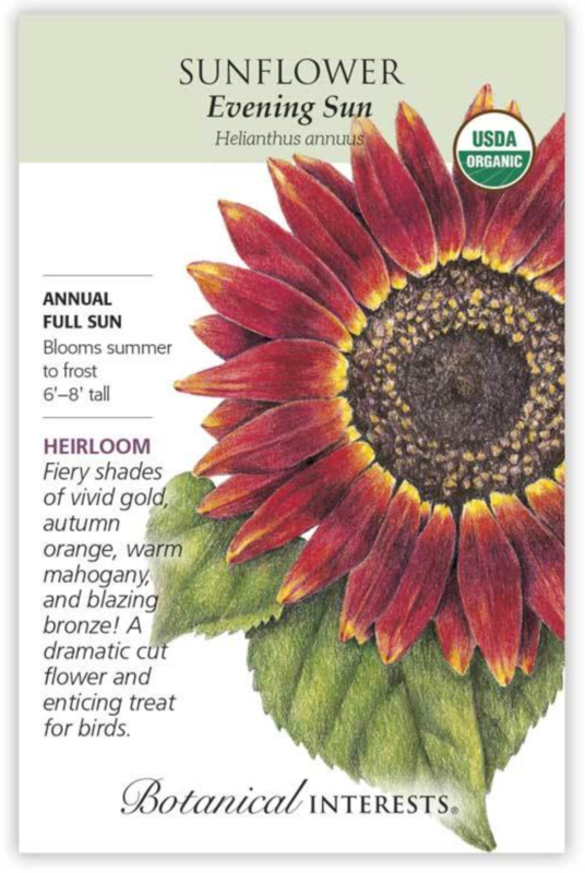 BI Sunflower Evening Sun Org 2007