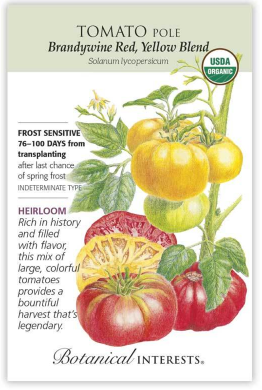BI Tomato Pole Brandywine Red, Yellow Blend Org 3130