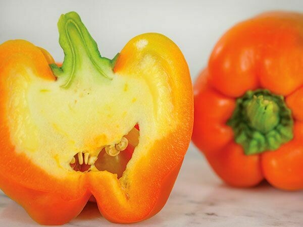 Baker Creek Pepper Etiuda PP175