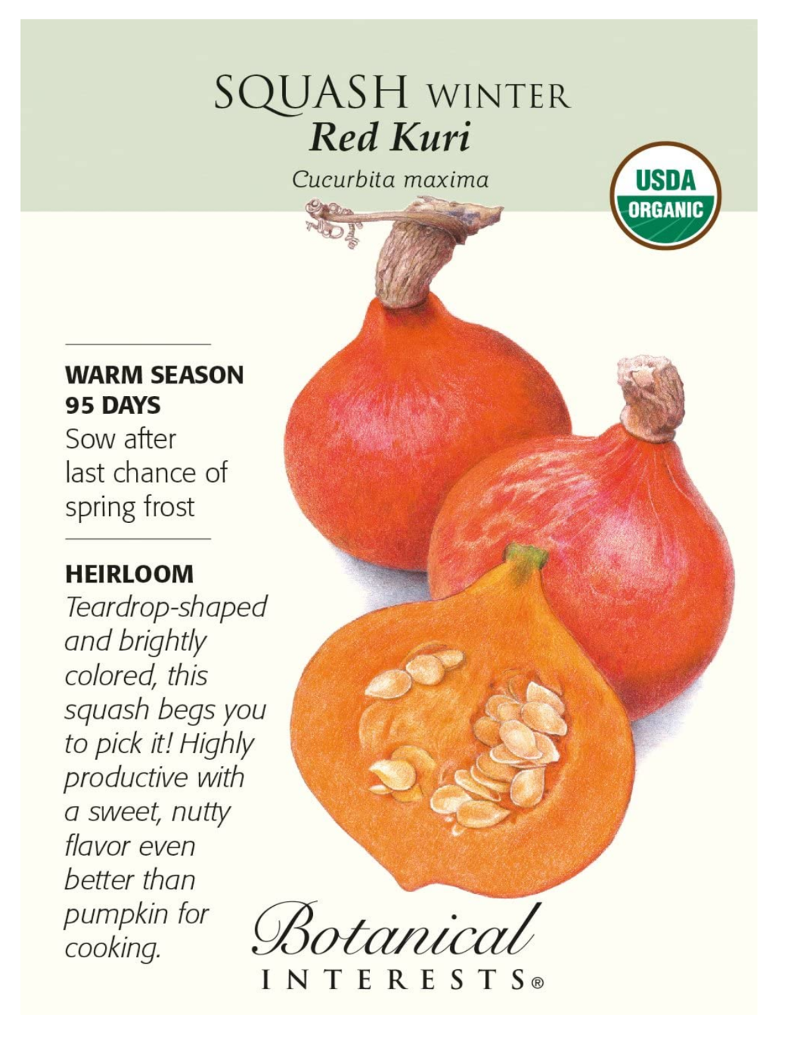 BI Squash Winter Red Kuri Org 3163