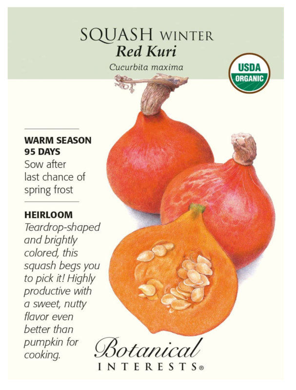 BI Squash Winter Red Kuri Org 3163