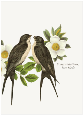 PFD Congratulations Love Birds 5x7 Card C-CLB