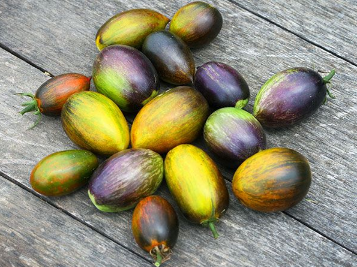 Baker Creek Tomato Brad's Atomic Grape TX133