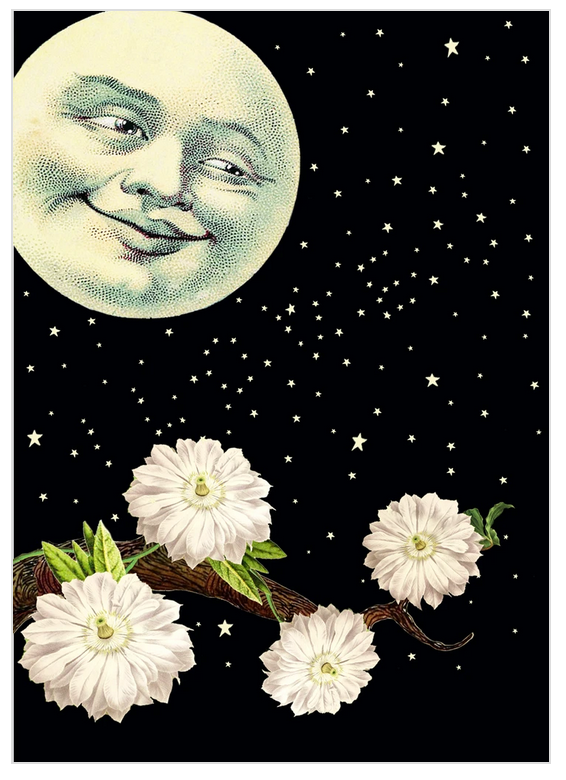 PFD I Love U 5x7 Card C-ILU