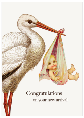 PFD Congratulations Stork Mini Card MI-STK