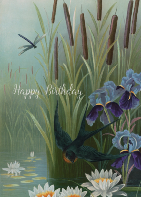PFD Happy Birthday Dragonfly 5x7 Card with glitter CG-HBD