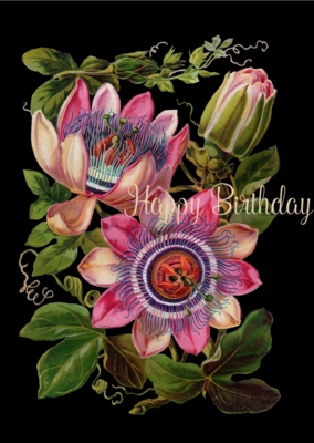 PFD Happy Birthday (Passionflower) 5x7 Card CB-HBPF