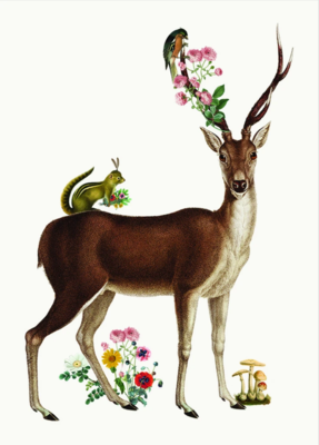 PFD Deer Mini Card MI-DEER