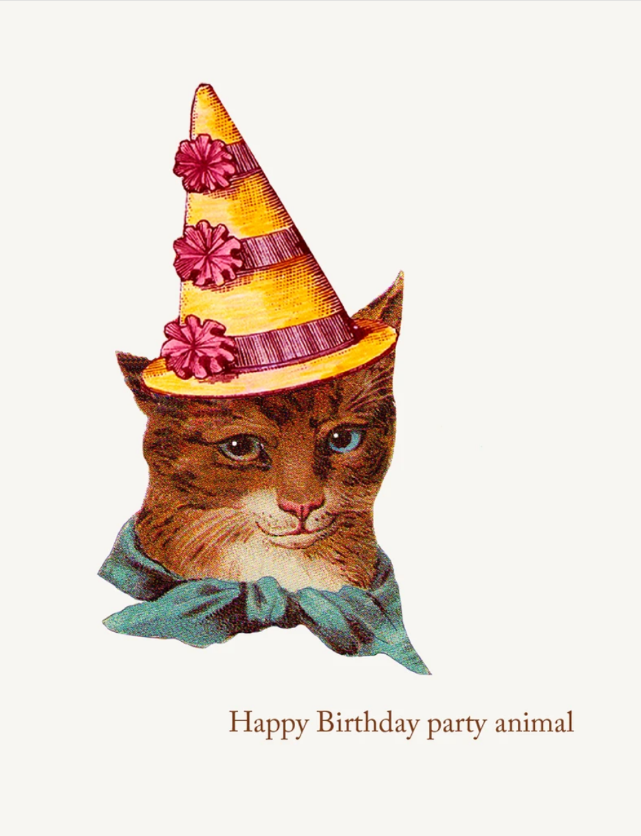 PFD Party Animal Cat 5x7 CG-PAC