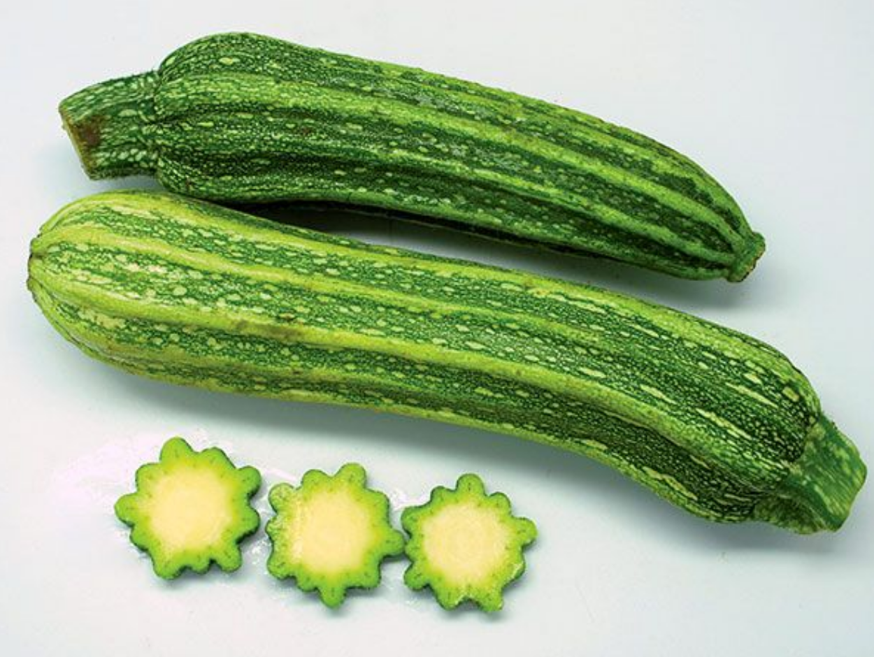 Baker Creek Squash Costata Romanesco Store The Plant Foundry