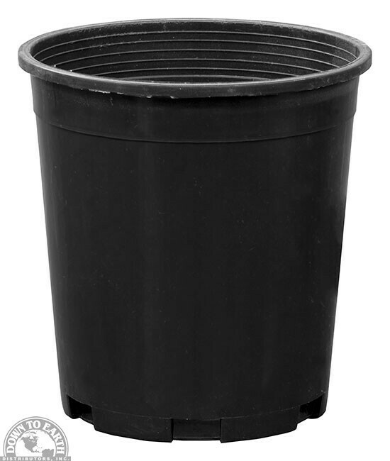 DTE Nursery Pot Poly 1GAL 07167