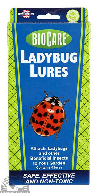 Central Biocare Ladybug Lure – Store – The Plant Foundry