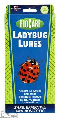 Central Biocare Ladybug Lure