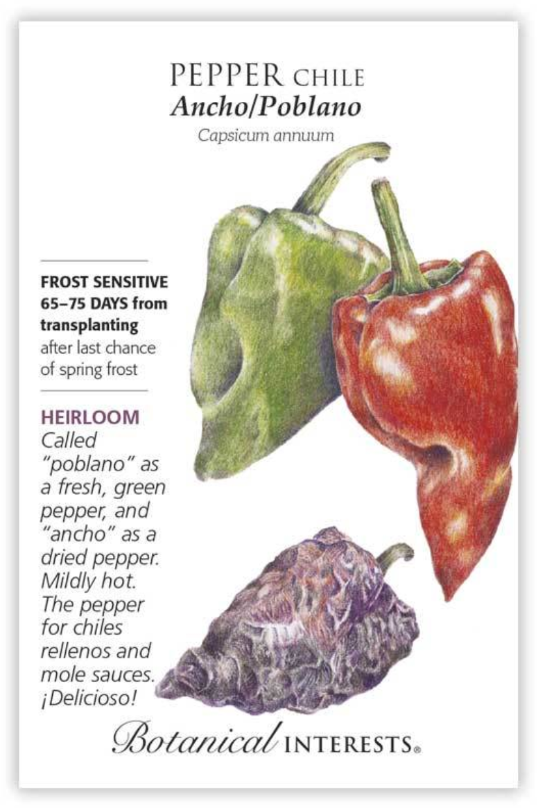 BI Pepper Chile Ancho/ Poblano 0184