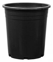 DTE Nursery Pot Poly 5GAL Tall 51011